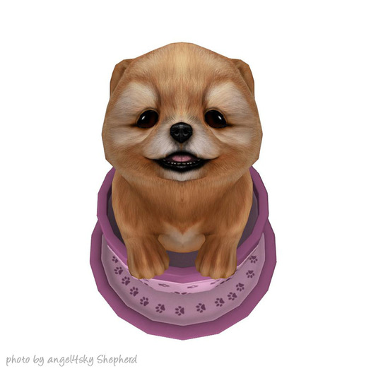 JIAN PeeWee Puffs :: Tea Cup Sable BOX