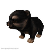 JIAN PeeWee Puffs :: Wanderer Black BOX