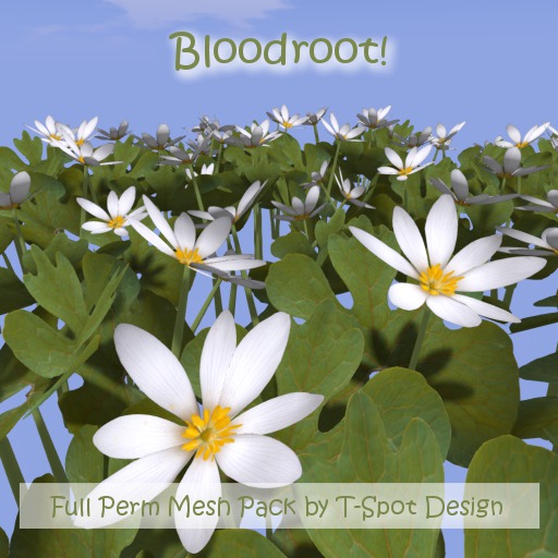 T-Spot Mesh - Bloodroot - Full Perm - LI=0.5