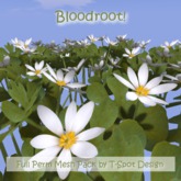 T-Spot Mesh - Bloodroot Flower Patches - Full Perm - LI=0.5 - 1.4