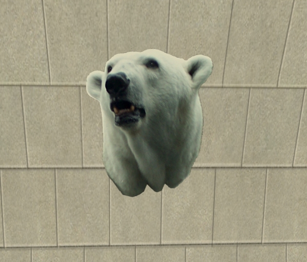 Polar Bear Head Trophy