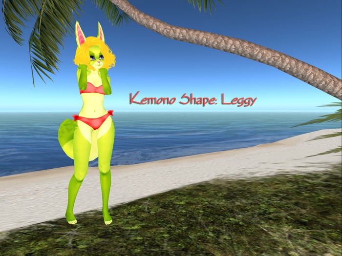 {Pansyposium!} Kemono Shape: Leggy