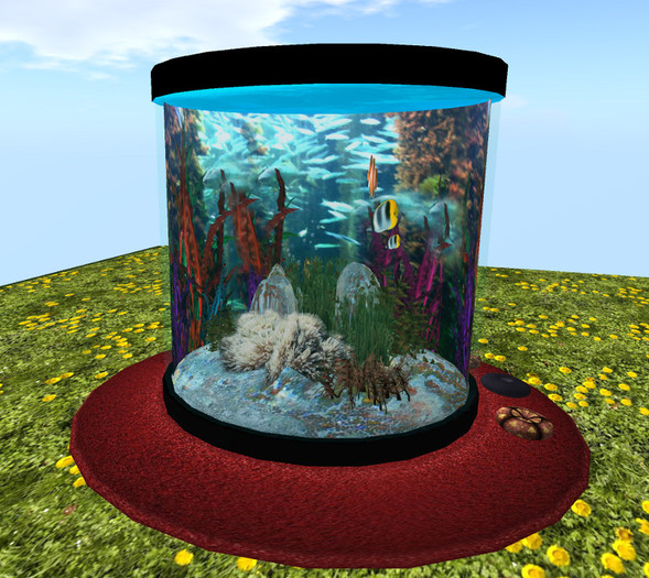 Aquarium mit Fischen