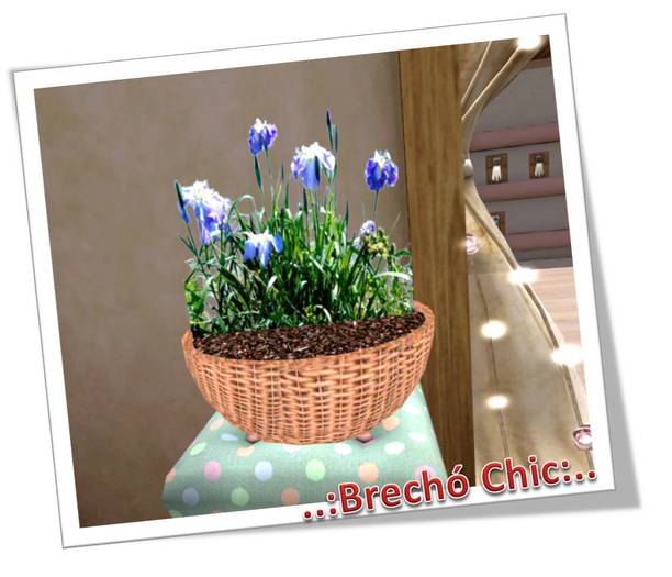 ..:Brecho Chic:.. Basket for plants