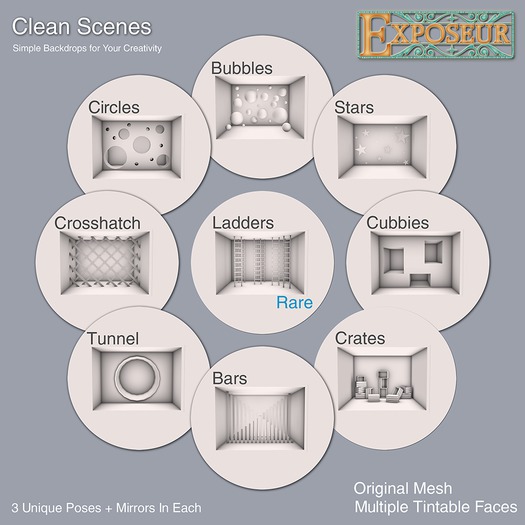 Exposeur - Clean Scenes - Ladders RARE