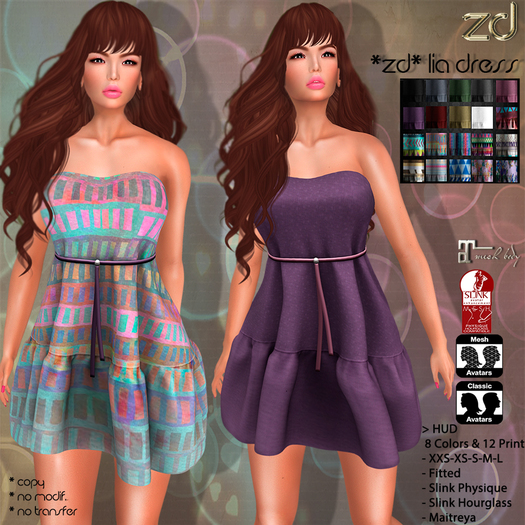 *ZD* Lia Mesh Dress