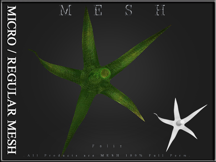 [Feliz] The stems - Micro and Regular Mesh - Full Perm -