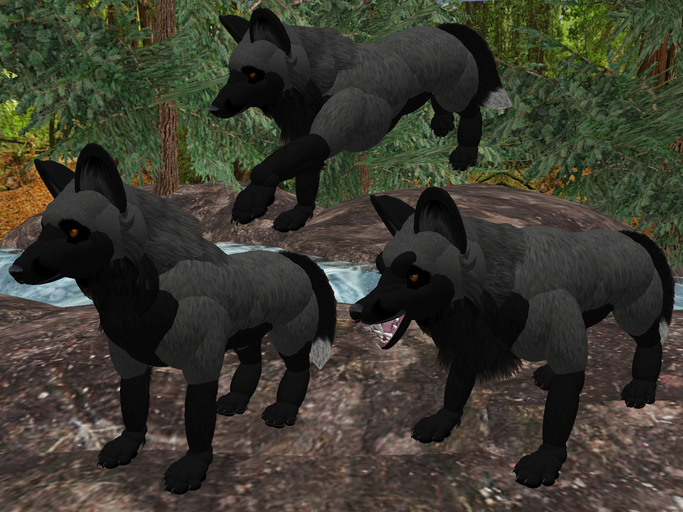WereHouse Critters Silver Fox V3 (Quadruped Avatar)
