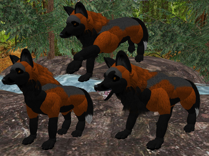 WereHouse Critters CrossFox V3 (Quadruped Avatar)