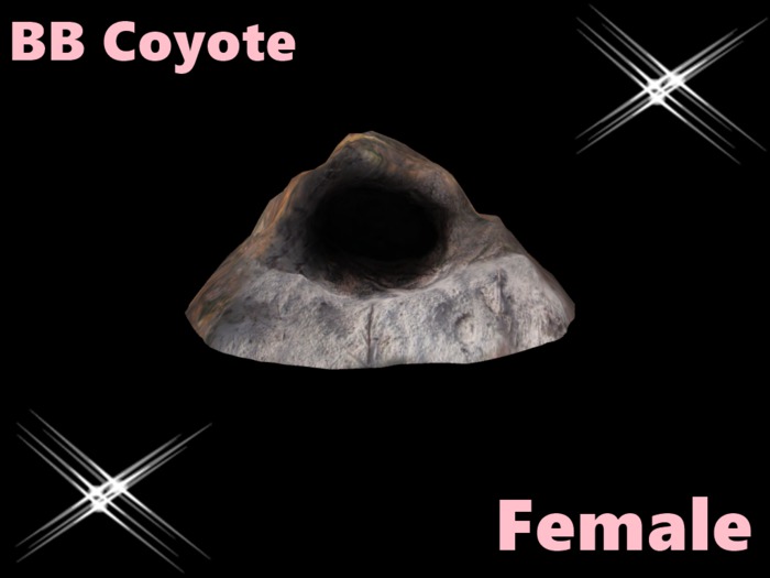 BB Coyote Box