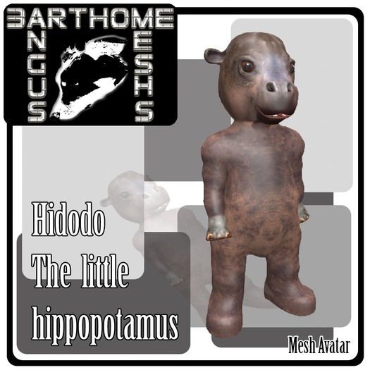 HIDODO HIPPOPOTAMUS BOXED