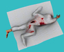 Icaland covered body fp snapshot 001