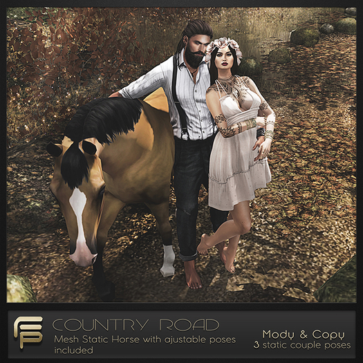 . Focus Poses . Country Road