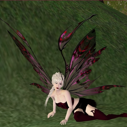 Kira "Blood Velvet" Scripted Hand Painted Fairy Wings!