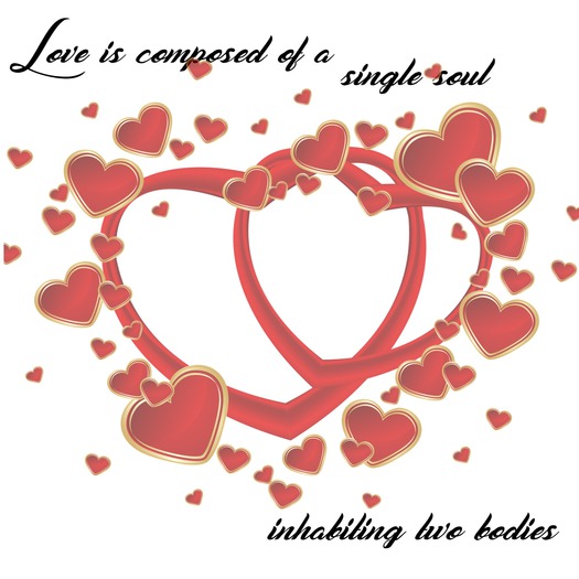 Single Soul (Bagged)