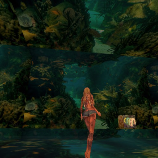 Background acuario