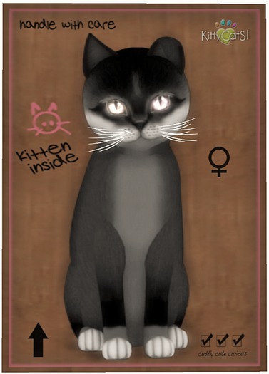 KittyCatS Box - Foxie - Soft Black