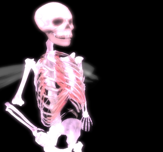 Tiny Fairy Ghost Avatar