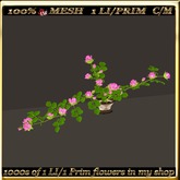 LW_Rose Bush For Tables 2