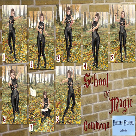 Eternal Dream Gacha - Lesson 02