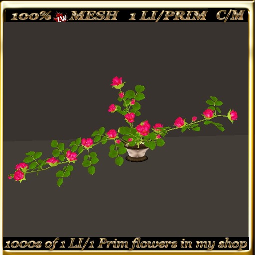 LW_Rose Bush For Tables 4
