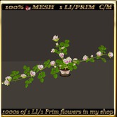 LW_Rose Bush For Tables 5