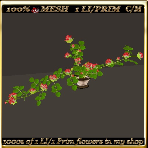 LW_Rose Bush For Tables 6