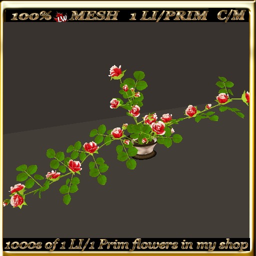 LW_Rose Bush For Tables 8