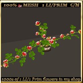 LW_Rose Bush For Tables 8