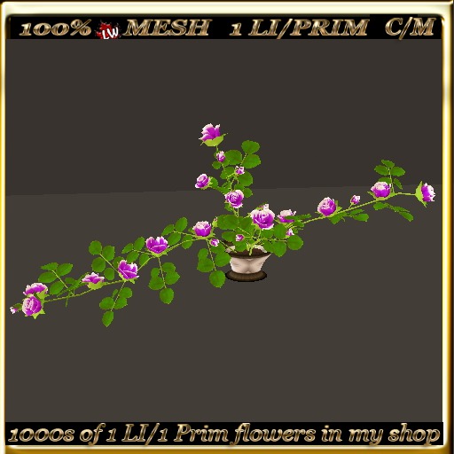 LW_Rose Bush For Tables 9