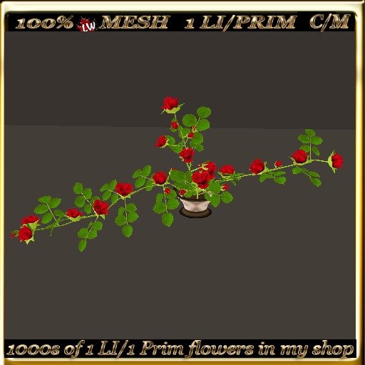 LW_Rose Bush For Tables 11