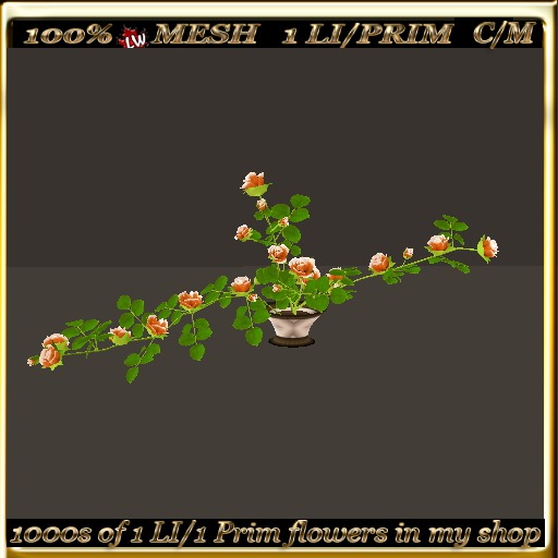 LW_Rose Bush For Tables 12