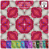 **BMI** Blooming Quilts BOXED