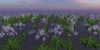Snapshot 007