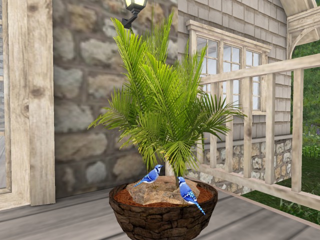 Green Plant With Two Cute Birds