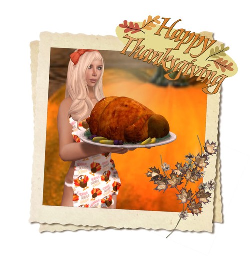 :DH: Apron ~Thanksgiving~