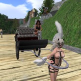 Pony Cart *SPH* 1P4D