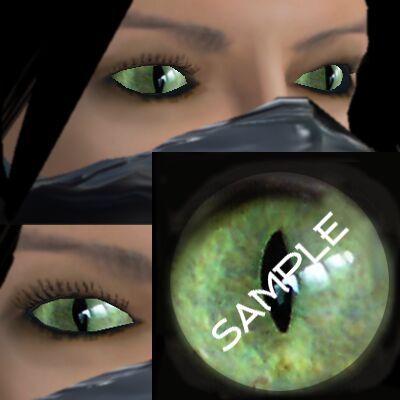 Realistic Cat Eyes ~ Shani .:SHD:.