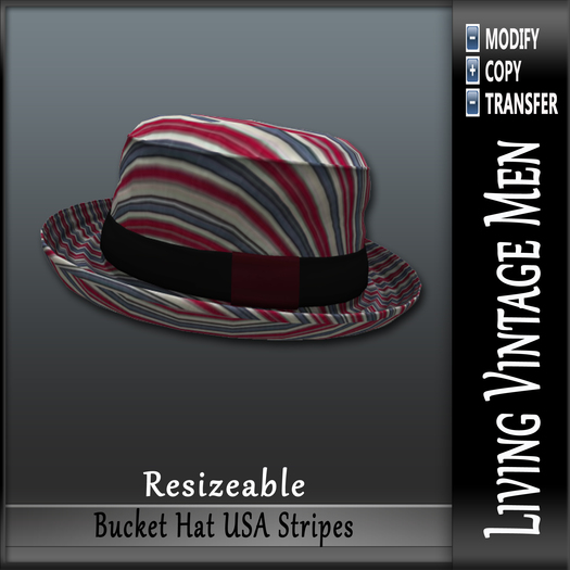 LVM Bucket Hat USA Stripes