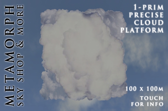 Metamorph 1-Prim Cloud Platform 100 x 100 PRECISE