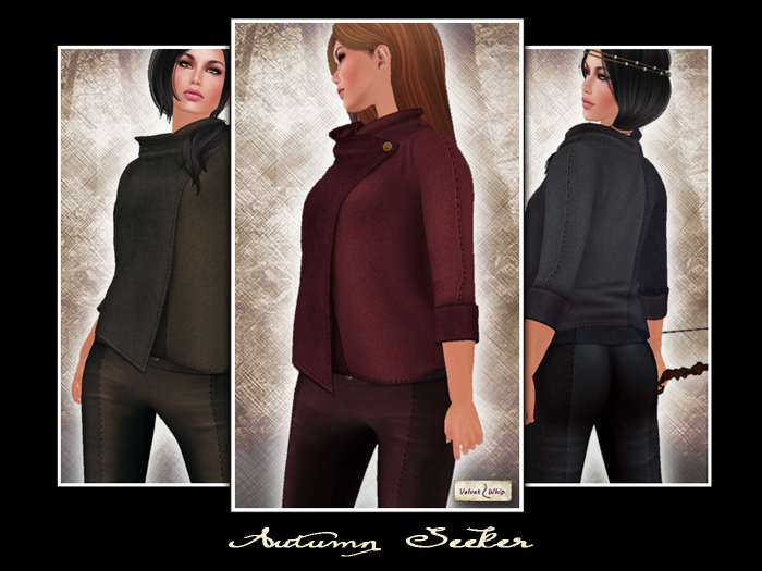 [V/W] Autumn Seeker Wine - Classic & Mesh Avatars Medieval Fantasy or SCi-Fi Jacket and Pants Outfit