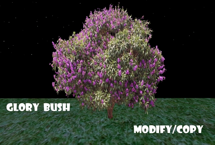 Glory Bush (Flexi)