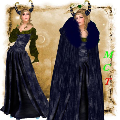 PKS Frozen blue dress-BBOX