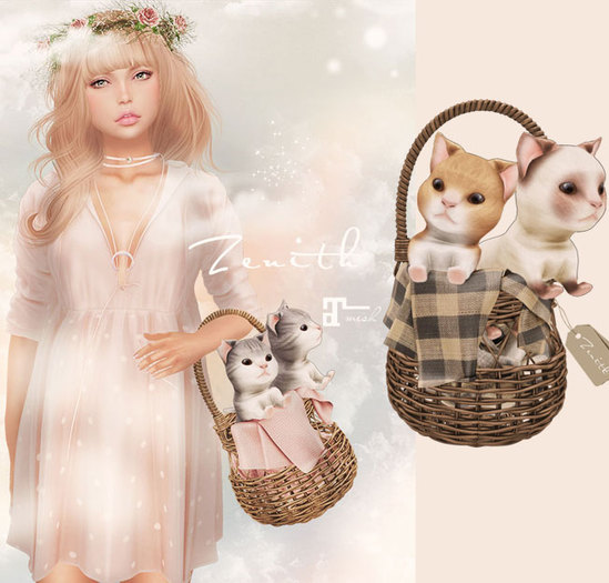 =Zenith=Kitten Basket (Dark)