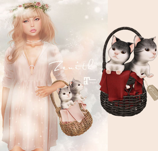 =Zenith=Kitten Basket (Coral)