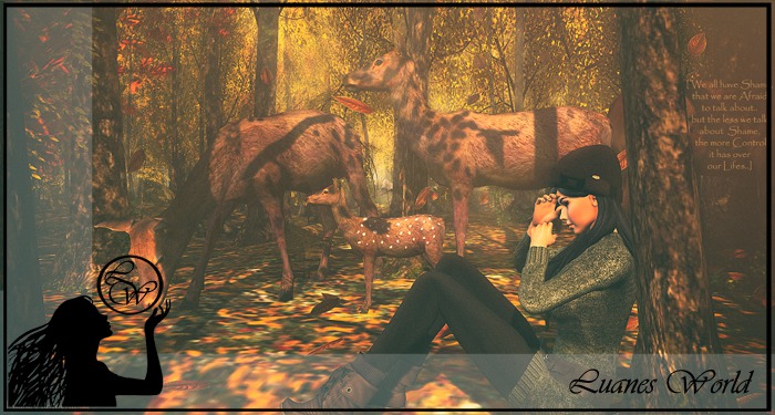 :LW: Poses - Shame - single pose