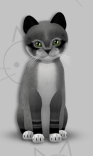 KittyCatS Box - Foxie Argyle/5T/Male