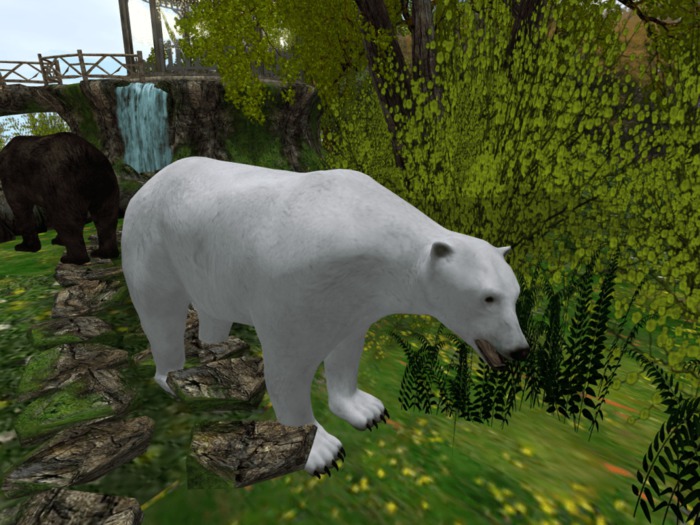 oYo Bundle - Female Ice Bear