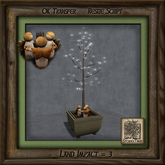 Angelic Forest Dance Bi