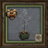 Angelic Forest Dance Br